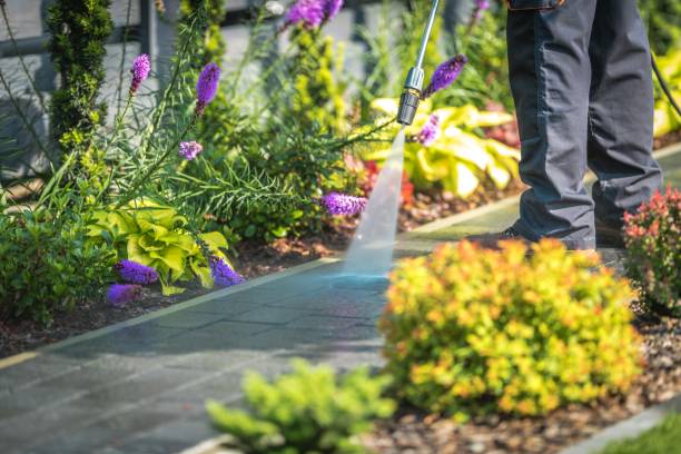 Trusted Centereach, NY Pressure Washing Services Experts